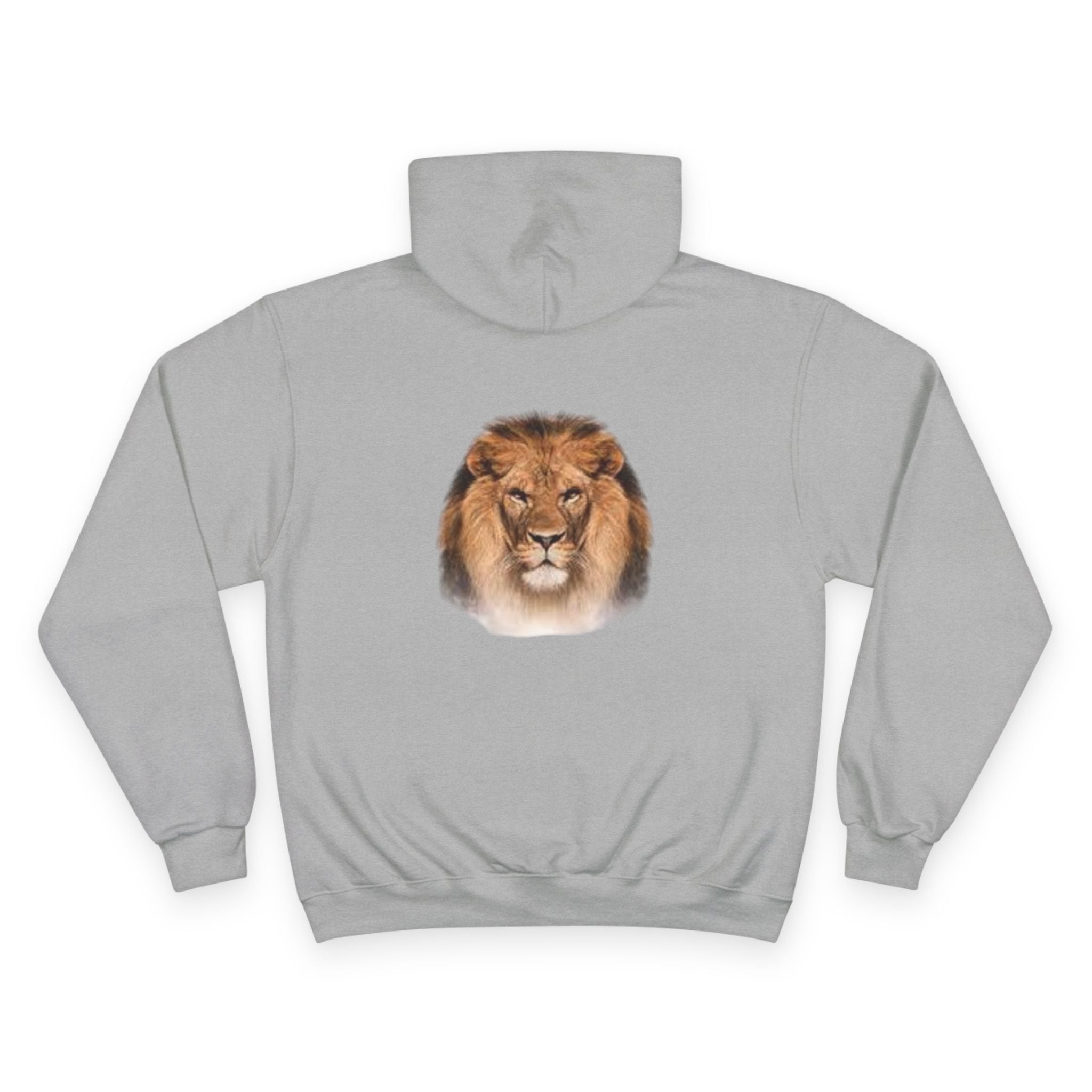 Lion Squad Hoodie — Lion Face Graphic Champion Hoodie