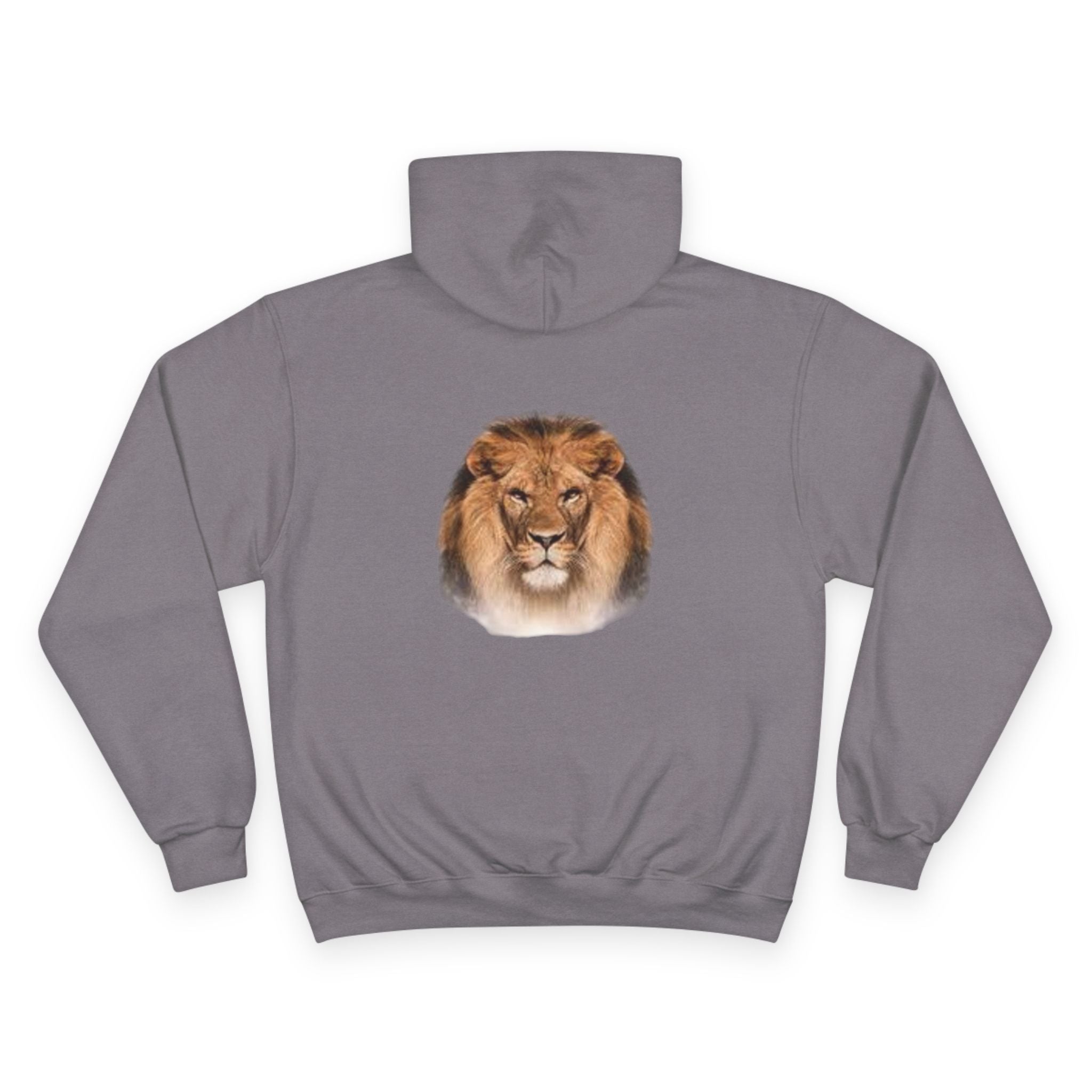 Lion Squad Hoodie — Lion Face Graphic Champion Hoodie